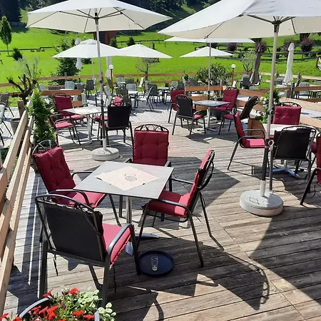 Hallstatt Dachstein Mit Pool Und Apartment *