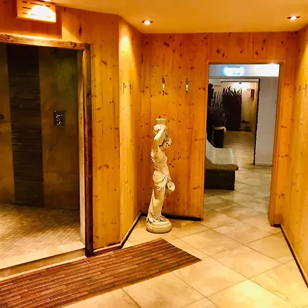Hallstatt Dachstein Mit Pool Und Apartment